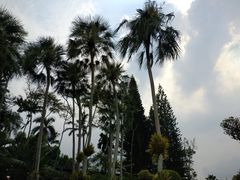 -东芭乐园