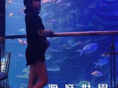 -泉城欧乐堡海洋极地世界
