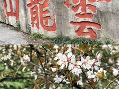 -云龙山