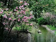 -花草间花行(法华镇路店)