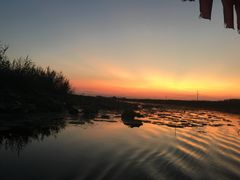 -白洋淀景区