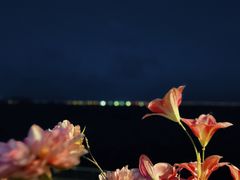 -滴水湖