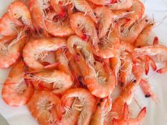 -澳门环岛游湾仔码头