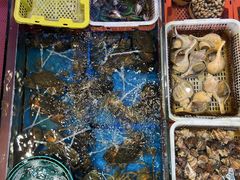 -东江海鲜大排档·潮汕菜·砂锅粥
