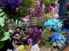 -五台山游泳馆