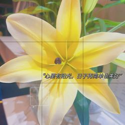 -哈颜科技轻美·