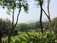 -四季酒店下午茶