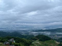 -紫鹊界梯田景区
