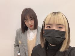 -YESIDO椰岛造型