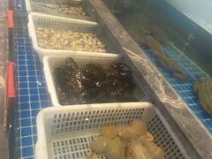 -骏莱海鲜鱼港(五角场店)
