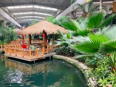 -南宫五洲植物乐园