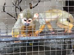 -荆州中山公园动物园