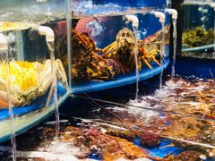 -海景壹号大酒店(惠钱路店)