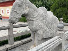 -洛阳白马寺