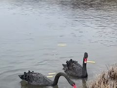 -西郊宾馆·1921餐厅