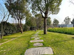 -养云安缦吧THE BAR