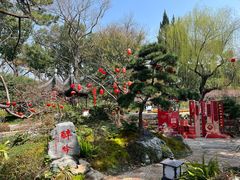 -上海醉白池公园