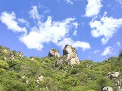 -大岭沟猕猴桃谷风景区