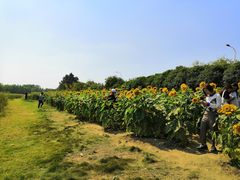 -艾溪湖湿地公园