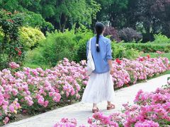 -大望京公园