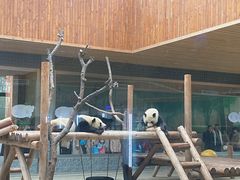 -西安秦岭野生动物园