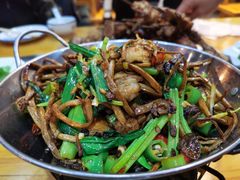 干锅茶树菇-张记焖窑·十五年专注焖烤(雍和宫店)
