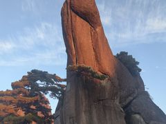 -黄山玉屏楼宾馆餐厅