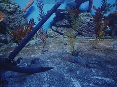 -上海海洋水族馆