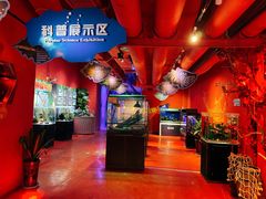 -太奥幻太奇海洋馆
