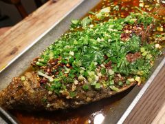 -树厨贵州菜(大十字店)