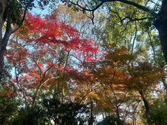 -无锡惠山寺
