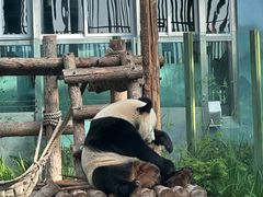 -大连森林动物园