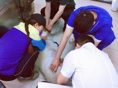 -天时宠物医院24小时疑难病例会诊中心(顾乡大街总院)