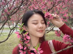 -巴陵广场