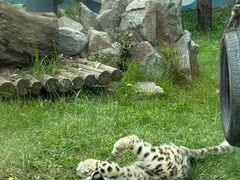 -青藏高原野生动物园