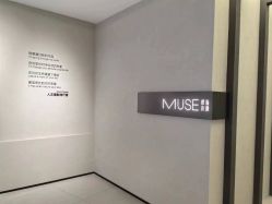 -小木马儿童摄影