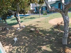 景点-西霞口神雕山野生动物世界