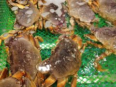 -79号渔船海鲜饭店(宝安店)