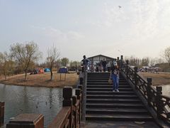 -南湖湿地公园