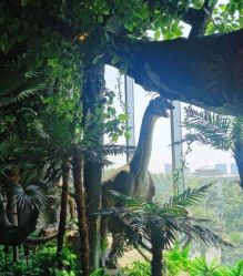 -恐龙探索乐园(磁器口店)