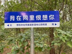 -同里国家湿地公园