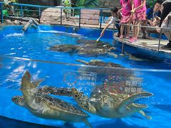 -泉城欧乐堡海洋极地世界
