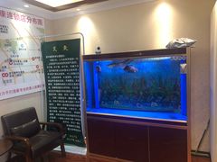 -宜华康盲人按摩(中关村店)