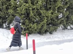 -叶卡捷琳娜宫
