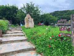 -北京西山国家森林公园