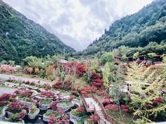 -古尔沟华美达温泉度假酒店