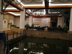 -深圳东部华侨城茵特拉根酒店