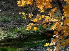 -玉渡山自然风景区