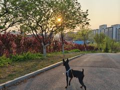 -心仪动物医院·牙专科·肿瘤·心脏科(西客站院)