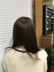 -环球蝶上美业连锁